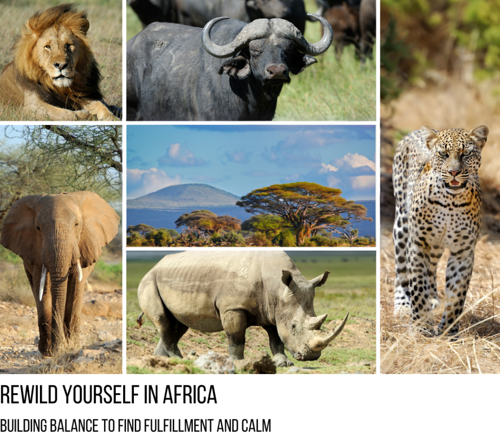 Rewild Yourself in Africa